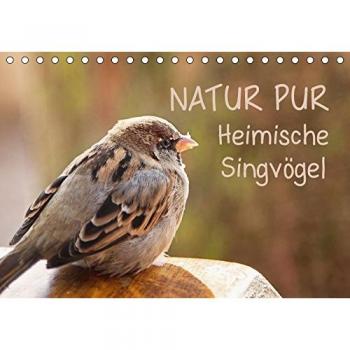 NATUR PUR Heimische Singvögel