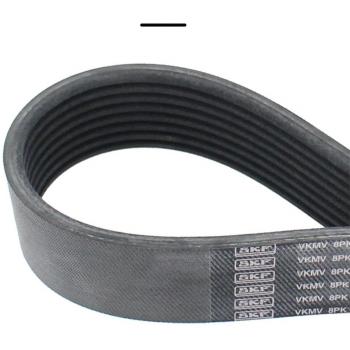 Multi-V Accessory Belt SKF VKMV 8PK1226