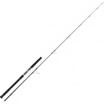 Monster Tuna Bottom Rod by Daiwa – 2.44m Black Unisex