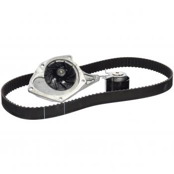 INA 530 0197 31 Timing Belt and Water Pump Assembly