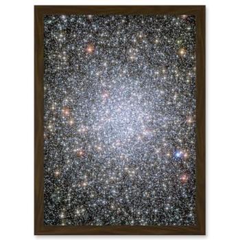 White Dwarf Wanderer: Galactic Group Frame