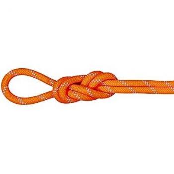Mammut Alpine Dry 9.5 mm Climbing Rope, Safety Orange, 70 m