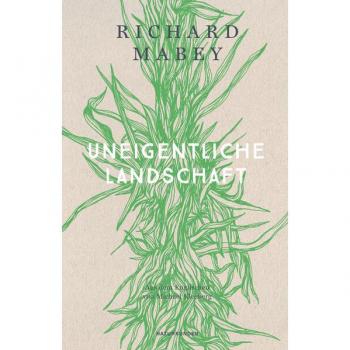 Uneigentliche Landschaft