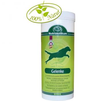 Nutrizeutikum Hundeschnellheilung 125 g – Sehnen