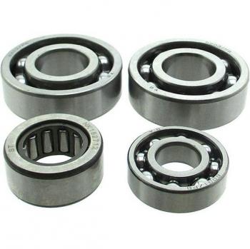 XLSION Kit de rodamientos para caja de cambios YX140