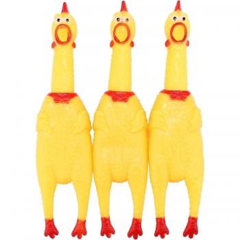 Bébé Poulet bruyant en néoprène