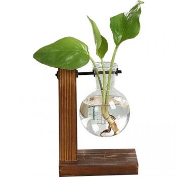 Vase décoratif pour bonsaï en terrarium