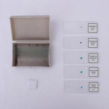 Set de 10 Microscópicos Biológicos (Blanco/Preparado) + 10 Cubiertas de Vidrio