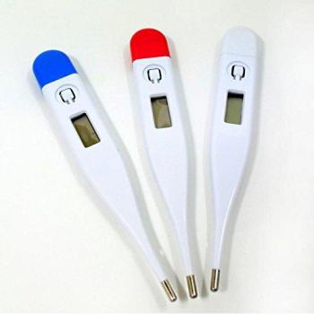 Thermomètre numérique vétérinaire pour chien et chat