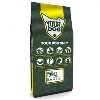 Alimento Balanceado para Kerry Blue Terrier Senior