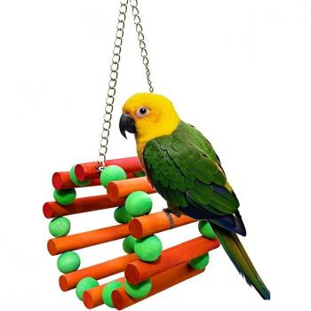 Hanging Bird Training Toy