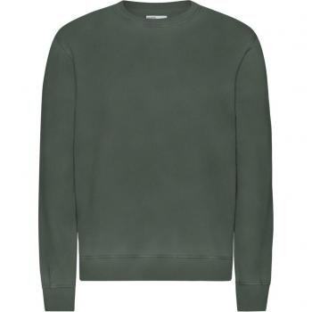 Pull Coloré Standard Classique Organique Ombre Forestière