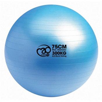 Core Workout Swiss Ball with Anti-Burst Technology (55 cm/65 cm/75 cm)