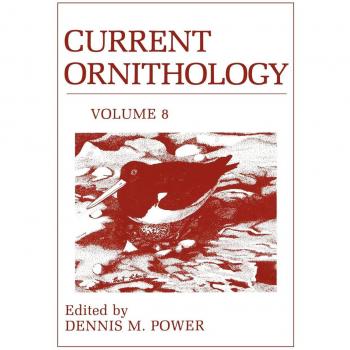 Current Ornithology, Volume 8 (Current Ornithology, 8, Band 8)