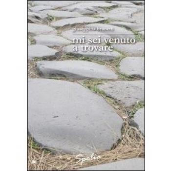 Mi sei venuto a trovare