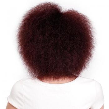 Doris Beauty Yaki Straight Short Wig