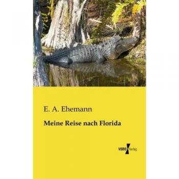 Meine Reise nach Florida