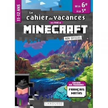 Fans de Minecraft & co