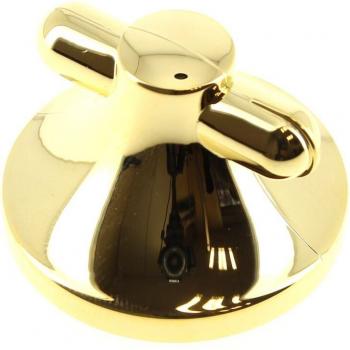 Bouton cuisine Sauter 12H – surface 76x1568 mm – couleur dorée