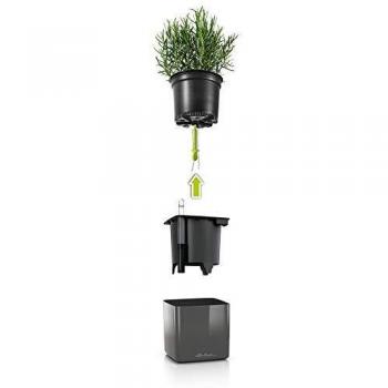 Lechuza CUBE Glossy Green Wall Home Kit, bianco lucido