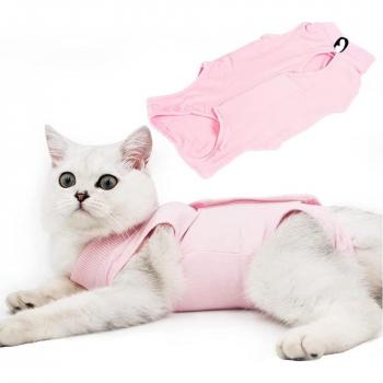Camisa protectora para gatos post cirugía