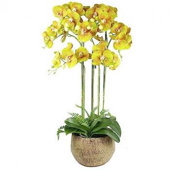 Yellow Leaf Orchid Fantasy