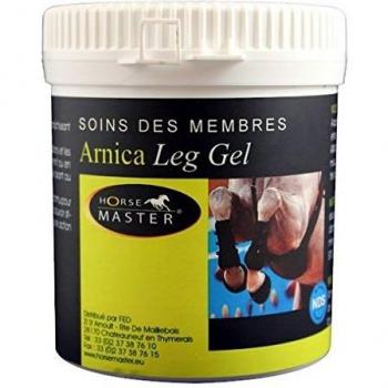Arnica Leg Gel for Horses by Horse Master 500 g