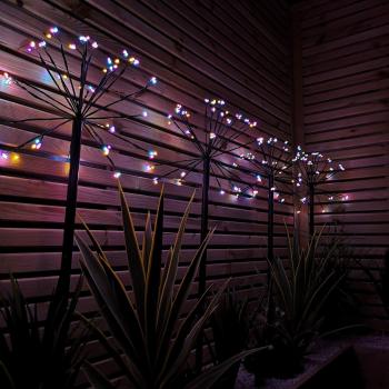 Rainbow Path Finder Christmas Lights