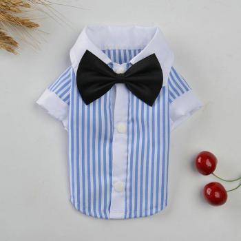Chemise Rayée Petite Patte