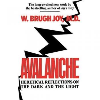 Avalanche: Heretical Reflections on the Dark and the Light