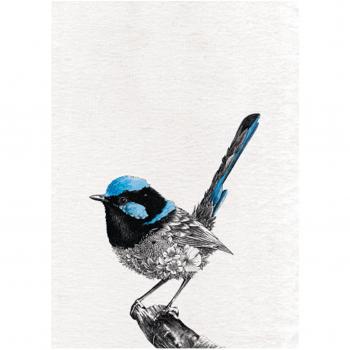 Superb Fairy-wren Tea Towel by Marini Ferlazzo