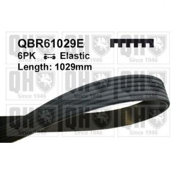Correa poli V QBR61029E de Quinton Hazell