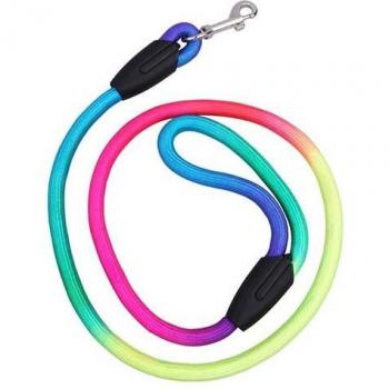 Farbige Nylon Gürtel für Hunde
