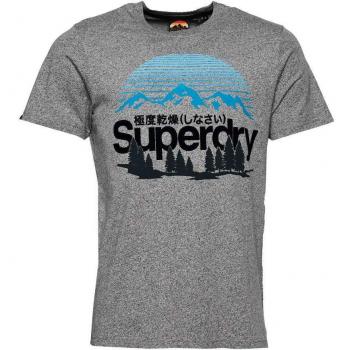 Tee-shirt Superdry Graphique Grande Nature