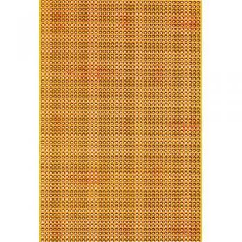 Piastra Circuito Stampato Rademacher WR-Typ 815-5 160 mm x 100 mm 35 µm Passo 2.50 mm 1 pz