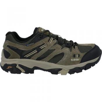 Apex Lite Low Men's Hiking Shoes