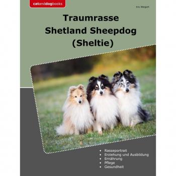 Traumrasse Shetland Sheepdog