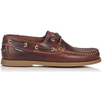 Tennis Snipe Seahorse Marron