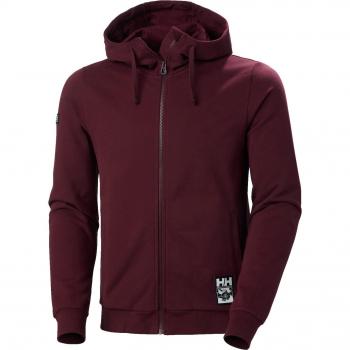 Felpa con cappuccio e zip Helly Hansen Arctic Ocean M uomo