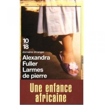 Larmes de pierre : Une enfance africaine