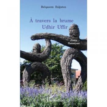 A travers la brume
