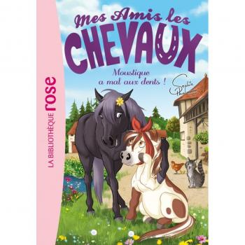Mes amis les chevaux, Tome 13 : Moustique a mal aux dents !