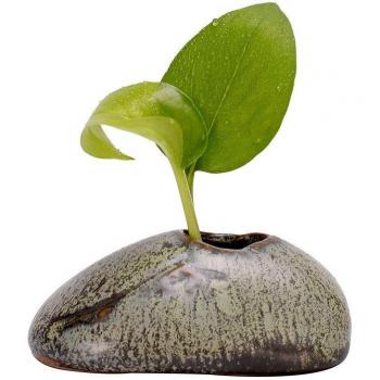 Home Decor Miniature Vase