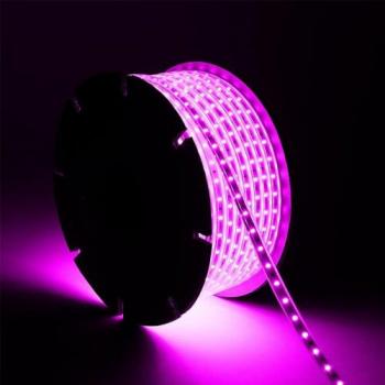 Striscia LED 220V SMD2835 60LED/m 550 lm/m 12mm 50m IP65 Rosa