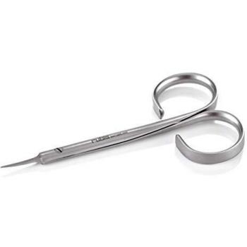 Rubis 1F000 Nail Cutting Scissors (Silver)