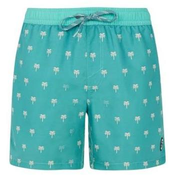 Men's Protest Parco Wave Green Swim Trunks