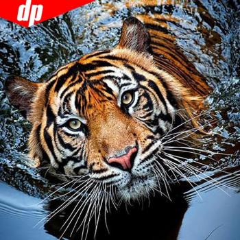 Pittura Tigre in Diamanti 30x30 – Arte con Pietre Rotonde