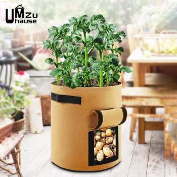 Jardinière intérieure pliable 15 L – pépinière légumes