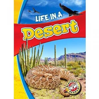 Life in a Desert