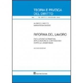 Riforma del lavoro. Evoluzione normativa, applicazione e contenzioso dopo la legge Biagi